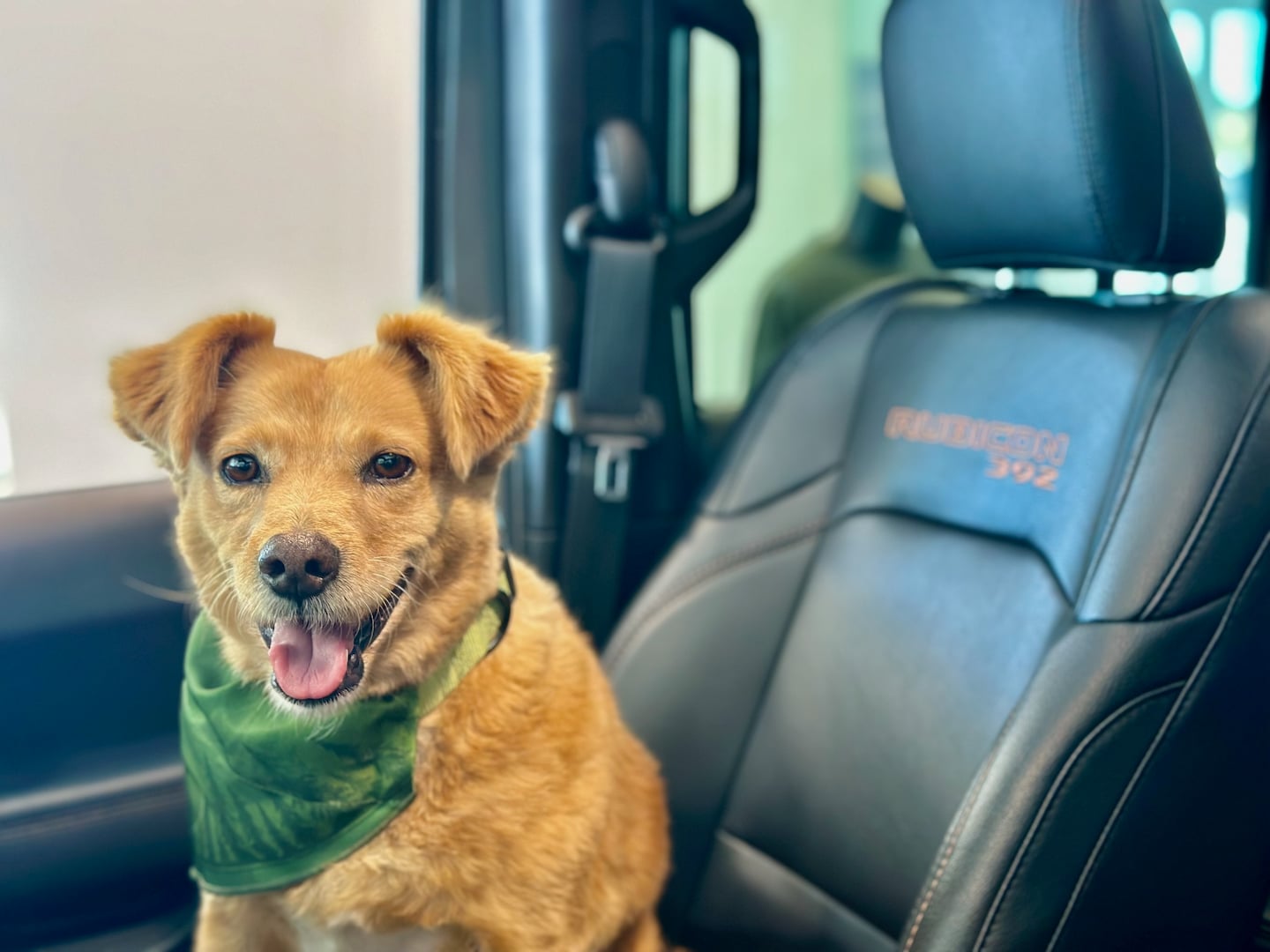 smiling dog at Mitchell Chrysler Dodge Jeep Ram in Enterprise AL